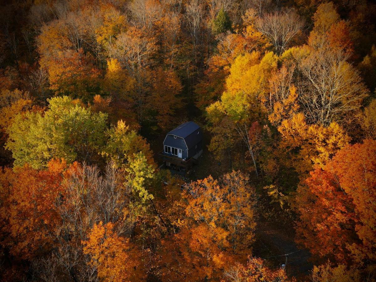 Mandy'S Mountain Chalet Dover ภายนอก รูปภาพ